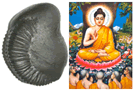 Shree Buddha Shaligram Shila Buddha Shaligram